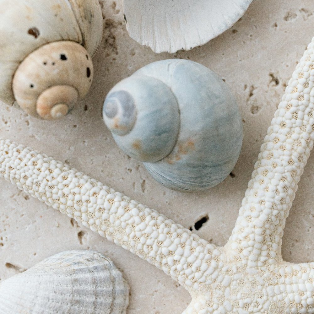 Welcome to sand_sun. Happy Poshing!